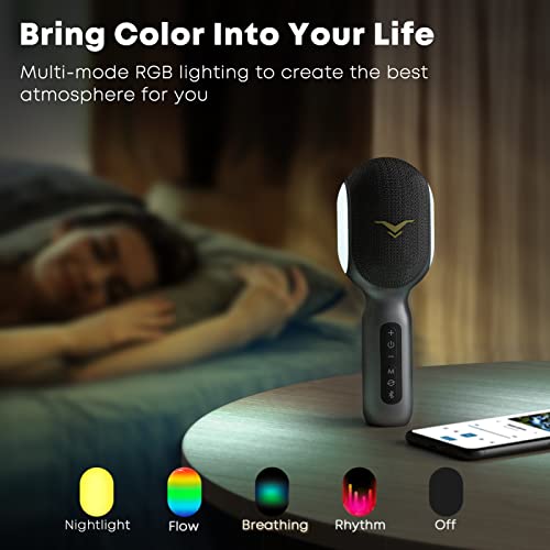 Wireless Bluetooth Karaoke