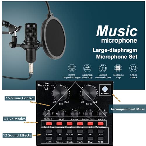 Podcast Equipment Bundle