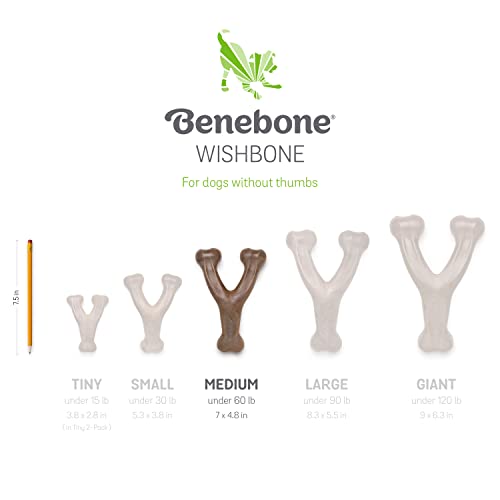 Benebone Wishbone