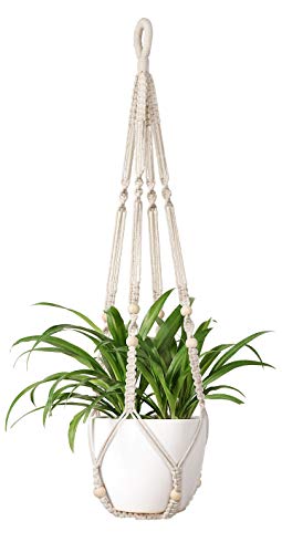 Plant Hanger Indoor