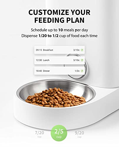 Automatic Cat Feeder