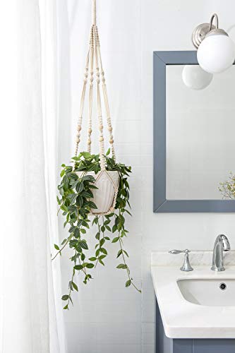 Plant Hanger Indoor