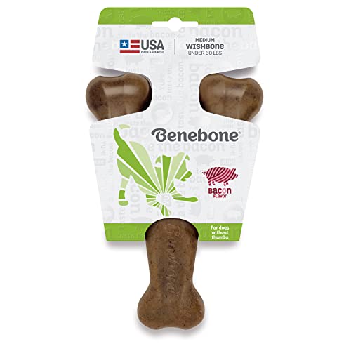 Benebone Wishbone