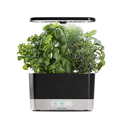 Hydroponic Garden