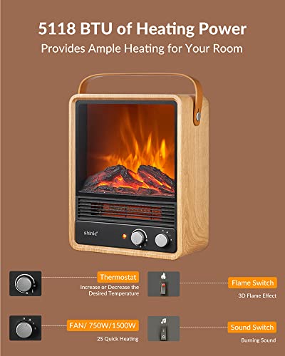 Indoor Electric Heaters