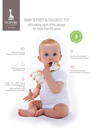 Teething Baby Toys