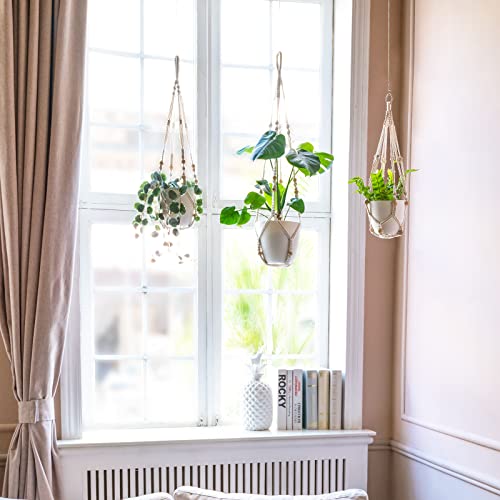 Plant Hanger Indoor