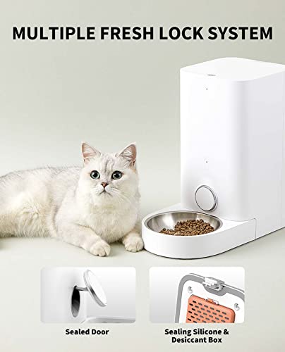 Automatic Cat Feeder