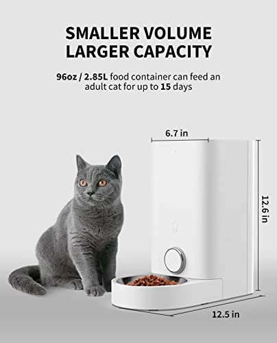 Automatic Cat Feeder