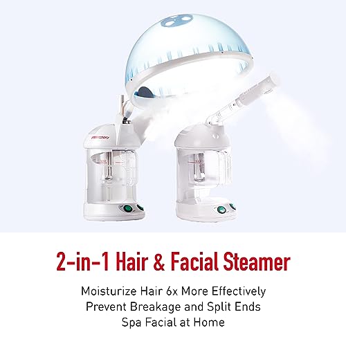 Hair Steamer & Facial