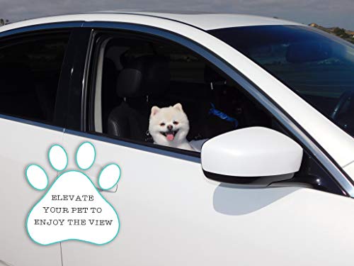 Dog Car Seat