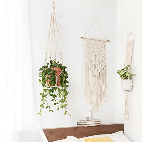 Plant Hanger Indoor