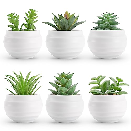 Artificial Plants for Bedroom