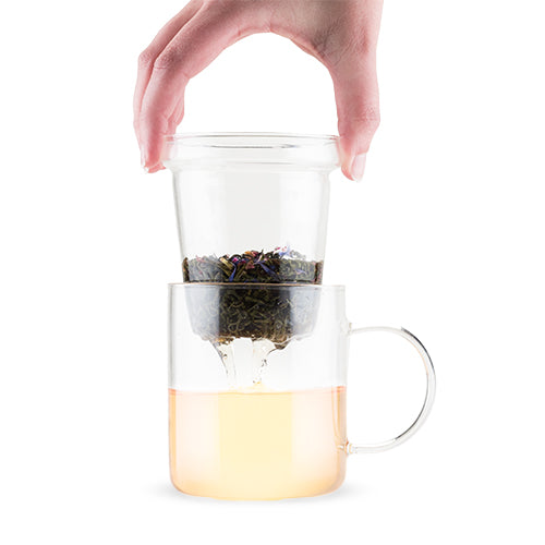 Glass Tea Infuser Mug - Spoiled Store