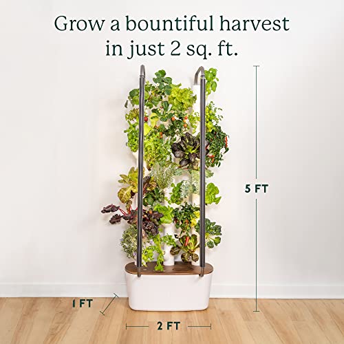 Vertical Garden Planter