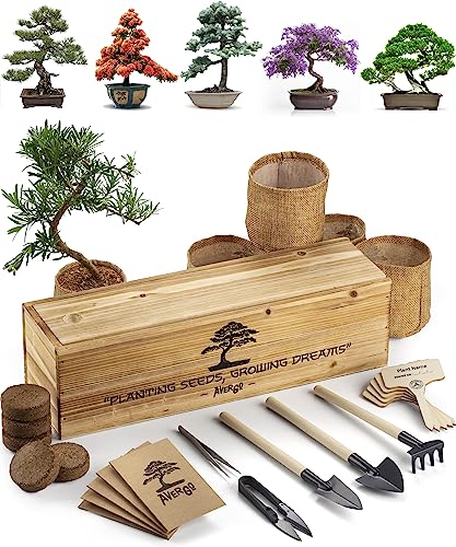 Bonsai Tree Kit