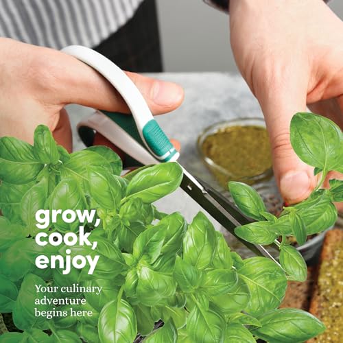 Herb Indoor Garden Kit