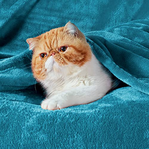 Fleece Blanket for Couch