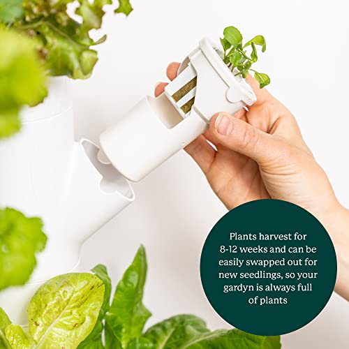 Vertical Garden Planter