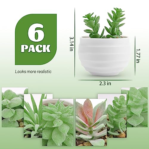 Artificial  Plants for Bedroom