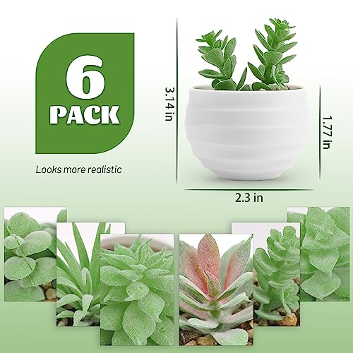 Artificial Plants for Bedroom