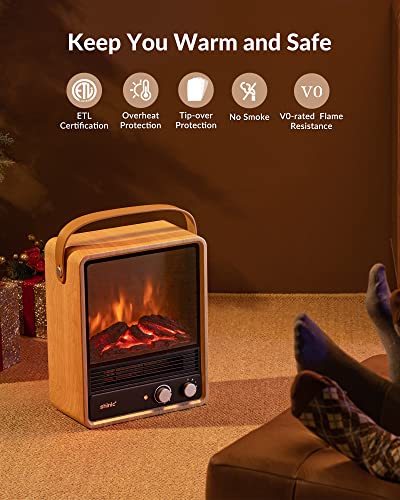 Indoor Electric Heaters