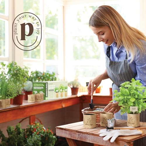 Herb Indoor Garden Kit