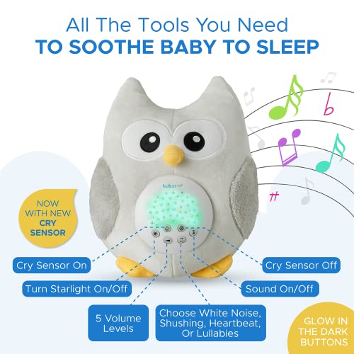 Sensor Toys Owl | White Noise