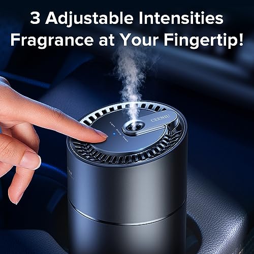 Car Air Fresheners