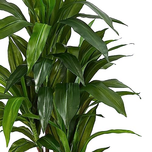 Dracaena Silk Artificial Plant