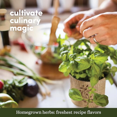 Herb Indoor Garden Kit