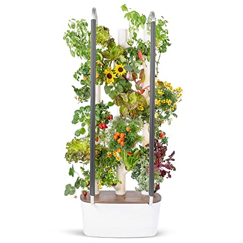 Vertical Garden Planter