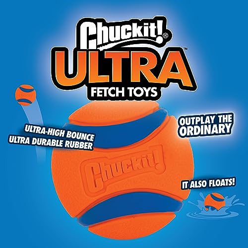 Ball Dog Toy