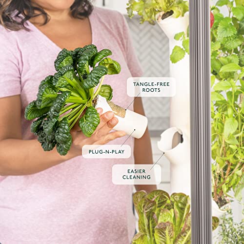 Vertical Garden Planter