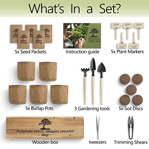 Bonsai Tree Kit