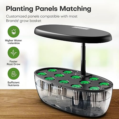 Indoor Garden Hydroponics