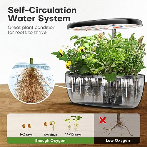 Indoor Garden Hydroponics