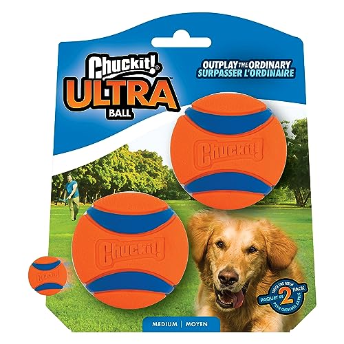Ball Dog Toy