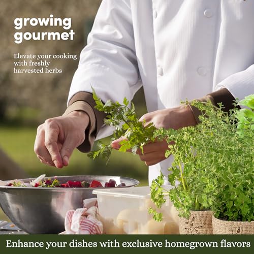 Herb Indoor Garden Kit