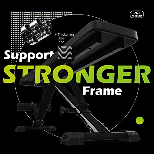 Full Body Workout Bench