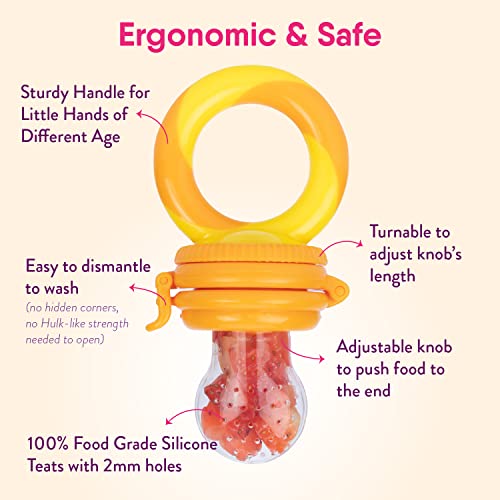 Baby Food Feeder / Fruit Feeder