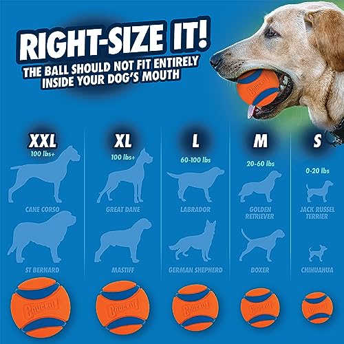 Ball Dog Toy