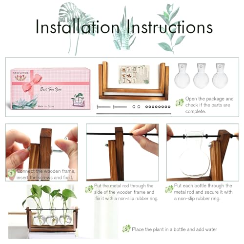 Plant Terrarium
