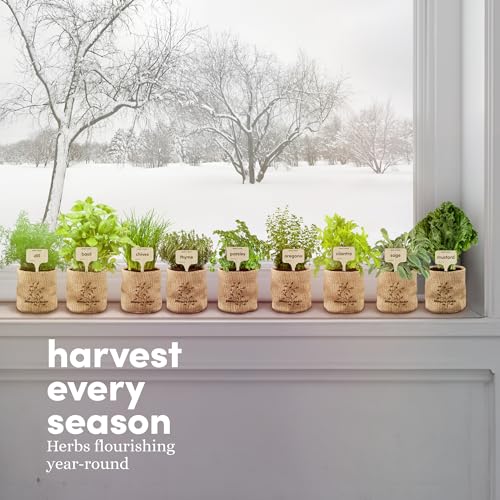Herb Indoor Garden Kit