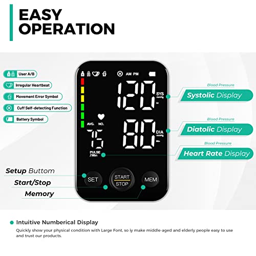 Blood Pressure Monitor