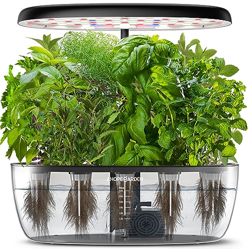 Indoor Garden Hydroponics