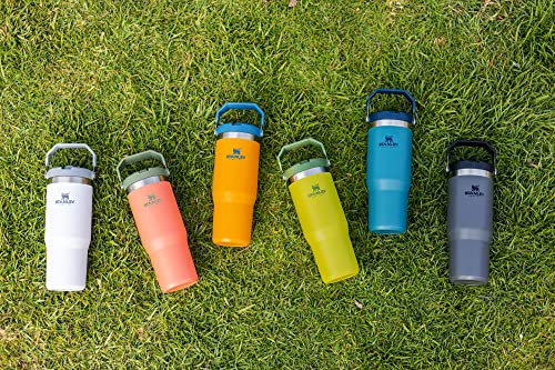 STANLEY Stainless Steel Tumbler