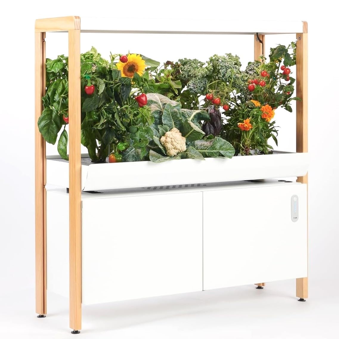 Hydroponics Growing System