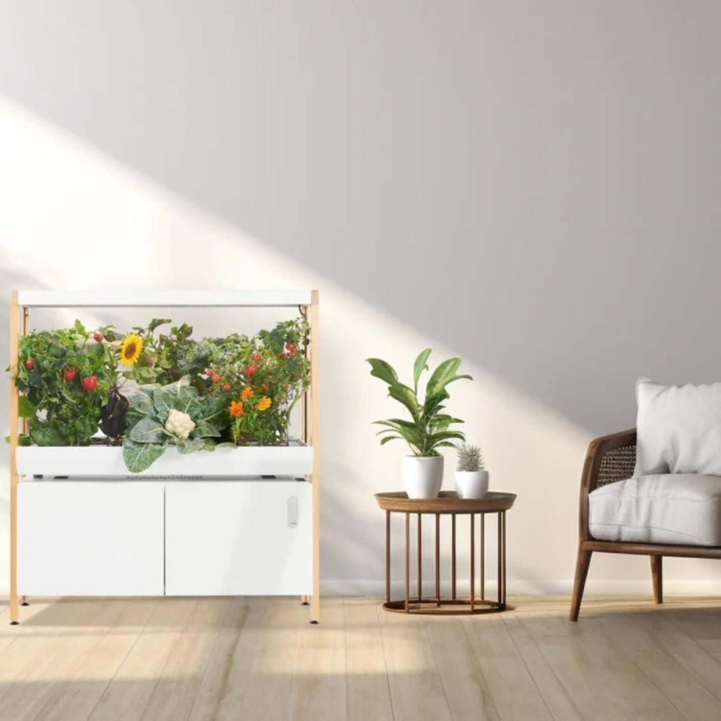 Hydroponics Growing System
