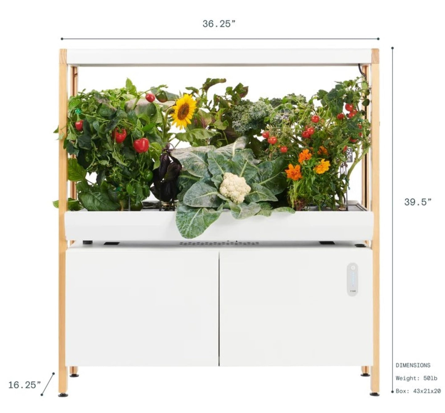 Hydroponics Growing System